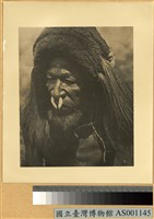 藏品(帶鼻飾男人像)的圖片